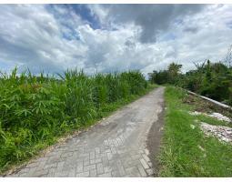 Tanah Luas Lokasi Jalan Purbaya Dekat Pasar Cebongan