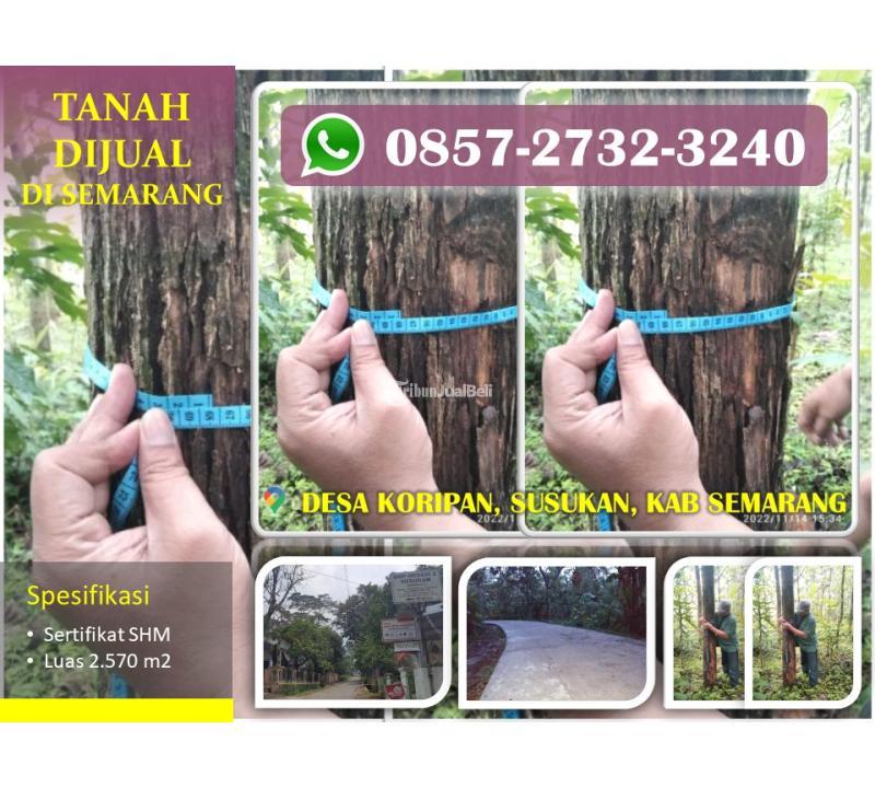 Jual Tanah Perkebunan Luas 2.507 m2 Strategis Murah di Kecamatan Susukan - Semarang Jawa Tengah
