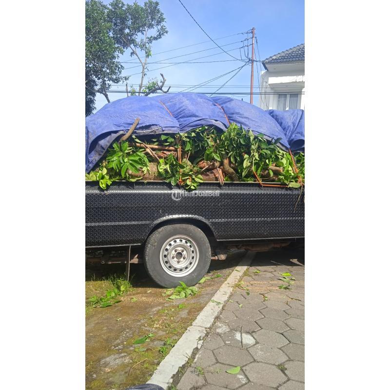 Buang barang apa saja jogja