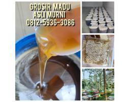 BISA COD, Grosir Madu Asli Terdekat Palembang 0812-5936-3086 Madu Asli Indonesia Harga Murah