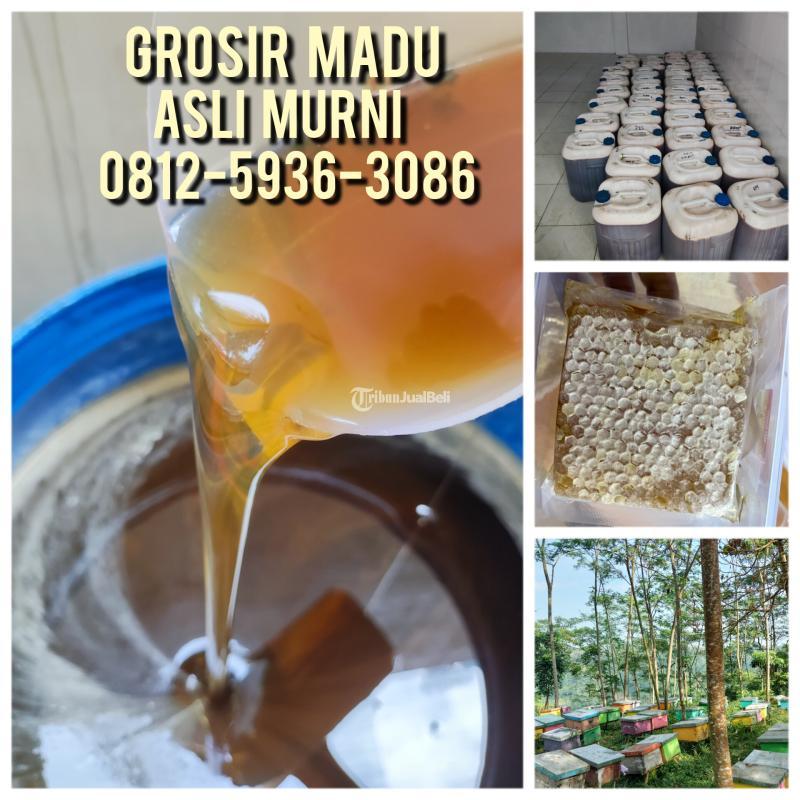 BISA COD, Grosir Madu Asli Terdekat Palembang 0812-5936-3086 Madu Asli Indonesia Harga Murah