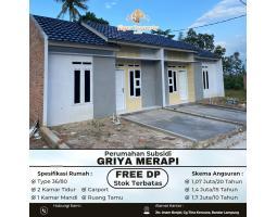 Rumah murah subsidi