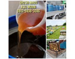 COD, Supplier Madu Asli Terdekat Palembang 0812-5936-3086 Harga Madu Asli Murah