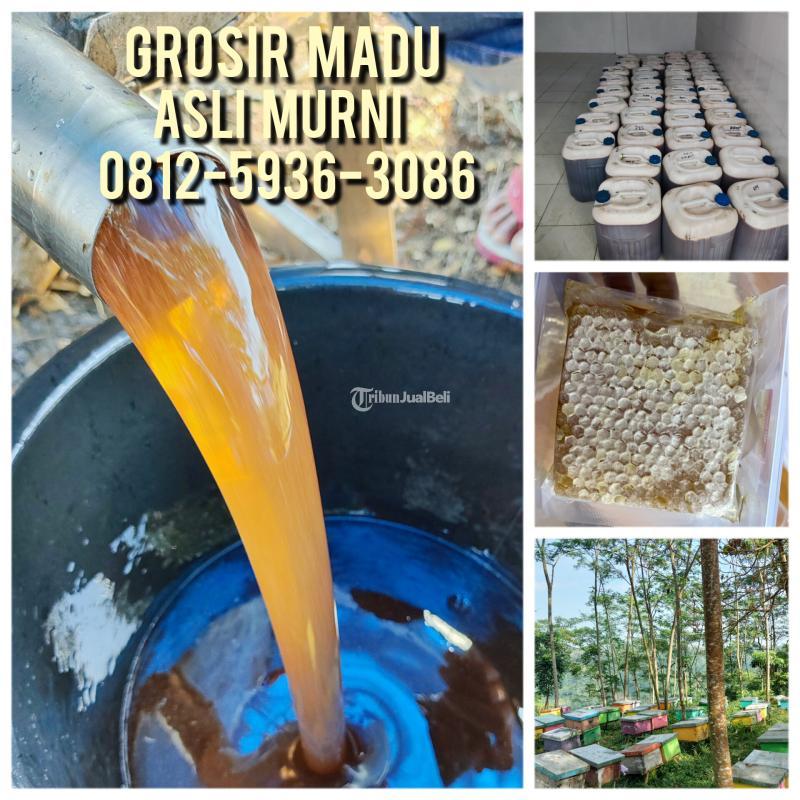 Supplier Madu Asli Indonesia Termurah - Cirebon Kota Jawa Barat