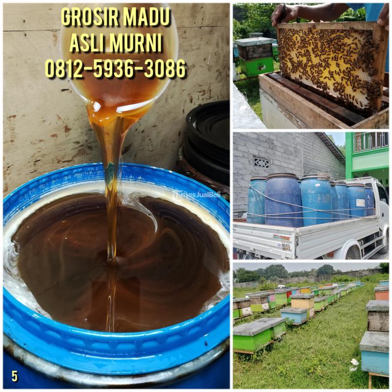 Grosir Madu Asli Harga Terjangkau - Solo Jawa Tengah