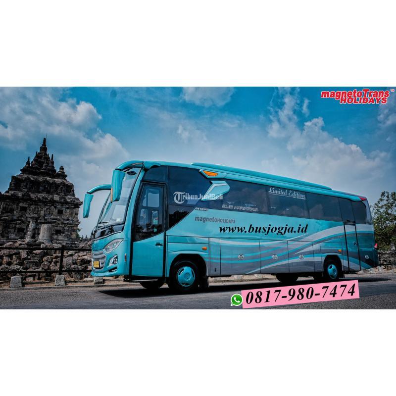 Jelajah Hong Kong dengan Nyaman: Panduan Lengkap Rental Bus Pariwisata