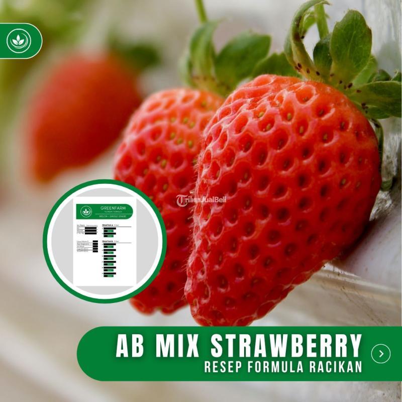 Resep AB Mix Strawberry Formula Racikan Nutrisi Pupuk Strawberry - Tasikmalaya Jawa Barat