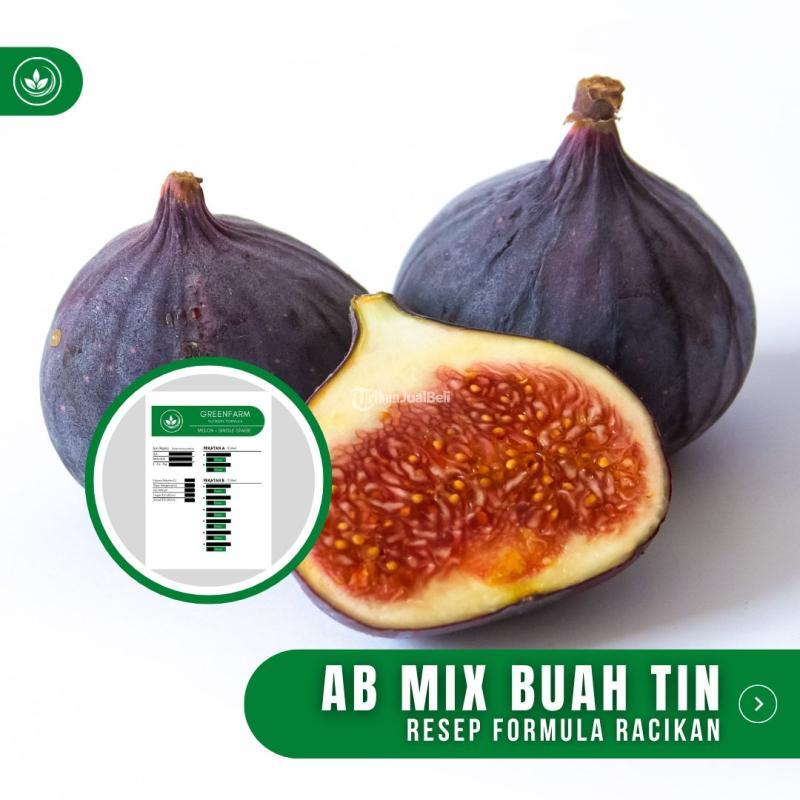Resep AB Mix Buah Tin Formula Racikan Nutrisi Pupuk Buah Tin - Tasikmalaya Jawa Barat