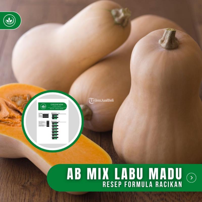 Resep Pupuk Labu Madu Formula Racikan Nutrisi Pupuk Labu Madu - Tasikmalaya Jawa Barat