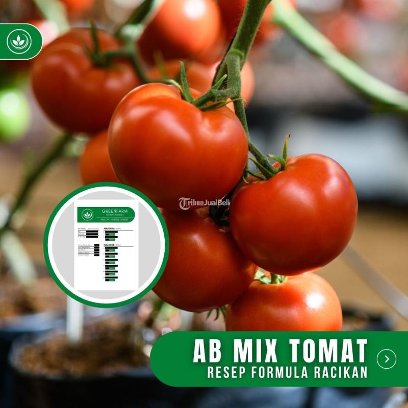 Resep AB Mix Tomat Formula Racikan Nutrisi Pupuk Tomat - Tasikmalaya Jawa Barat