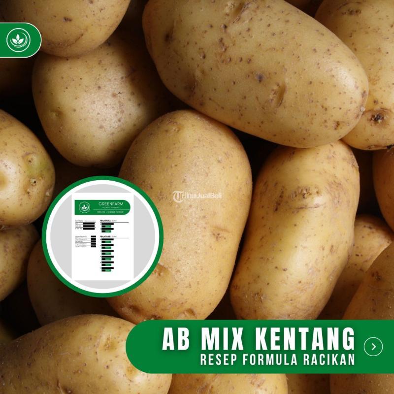 Resep AB Mix Kentang Formula Racikan Nutrisi Pupuk Kentang - Tasikmalaya Jawa Barat