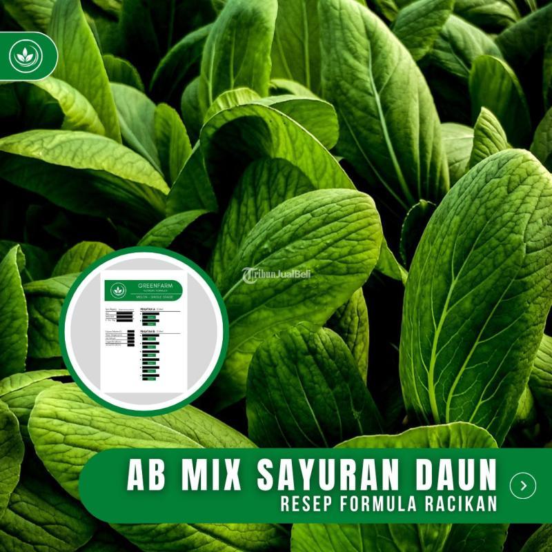 Resep AB Mix Sayur Daun Formula Racikan Nutrisi AB Mix Sayuran Daun - Tasikmalaya Jawa Barat