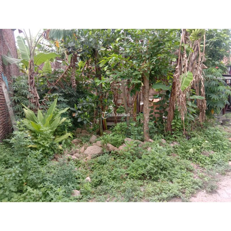 Jual Tanah Luas 245m2 Cocok Untuk Hunian Atau Investasi Masa Depan Blancir Pucangading - Semarang Kota Jawa Tengah