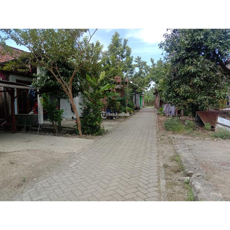 Jual Tanah Luas 245m2 Cocok Untuk Hunian Atau Investasi Masa Depan Blancir Pucangading - Semarang Kota Jawa Tengah