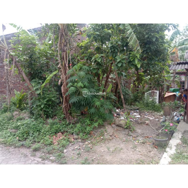 Jual Tanah Luas 245m2 Cocok Untuk Hunian Atau Investasi Masa Depan Blancir Pucangading - Semarang Kota Jawa Tengah
