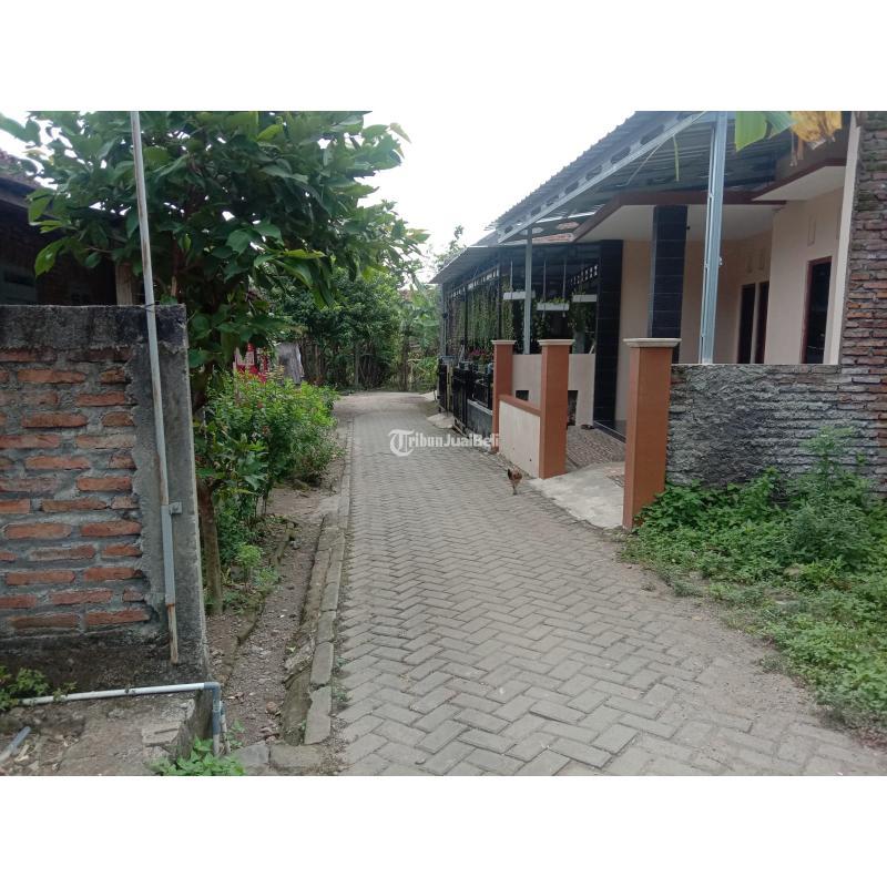 Jual Tanah Luas 245m2 Cocok Untuk Hunian Atau Investasi Masa Depan Blancir Pucangading - Semarang Kota Jawa Tengah