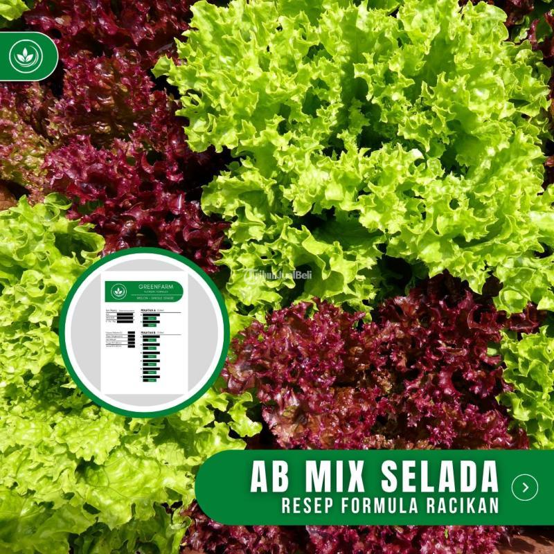 Resep AB Mix Selada Formula Racikan Nutrisi Pupuk AB Mix Selada - Tasikmalaya Jawa Barat