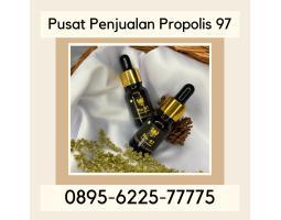 Pusat Penjualan Propolis 97 - Bantul Yogyakarta