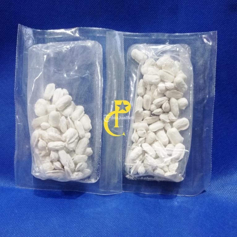 Copton 0,5 RB 30 Gram Termitisida Hexaflumuron Umpan Basmi Rayap Ampuh - Bekasi Jawa Barat