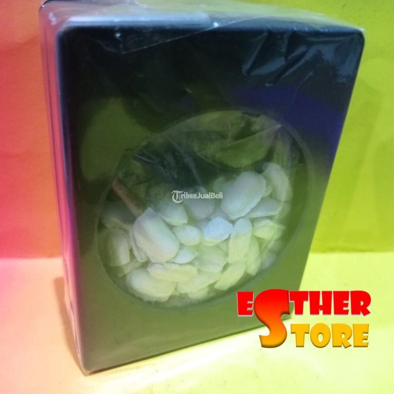 Termite Bait Station dan Copton 0,5 RB Umpan Ampuh Basmi Rayap Heksaflumuron - Bekasi Jawa Barat