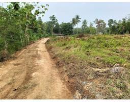 Jual Tanah Murah dekat Kampus Itera Bisa Kredit Syariah - Bandar Lampung