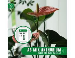 Resep Pupuk AB Mix Anthurium Formula Racikan Nutrisi Tanaman Hias Anthurium - Tasikmalaya Jawa Barat