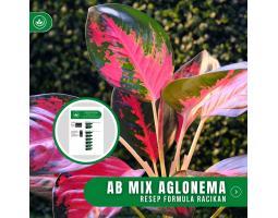 Resep Pupuk AB Mix Aglonema Formula Racikan Nutrisi Tanaman Hias Aglonema - Tasikmalaya Jawa Barat
