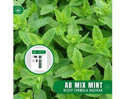 Resep AB Mix Mint Formula Racikan Nutrisi Tanaman Mint - Tasikmalaya Jawa Barat
