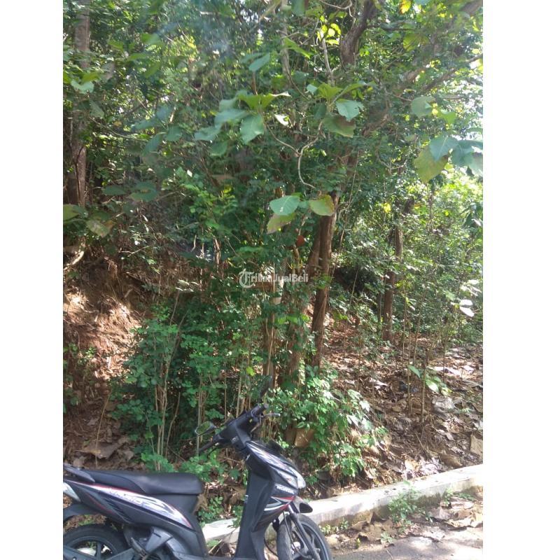 Tanah di Piyungan Bantul, Lingkungan Asri Pedesaan