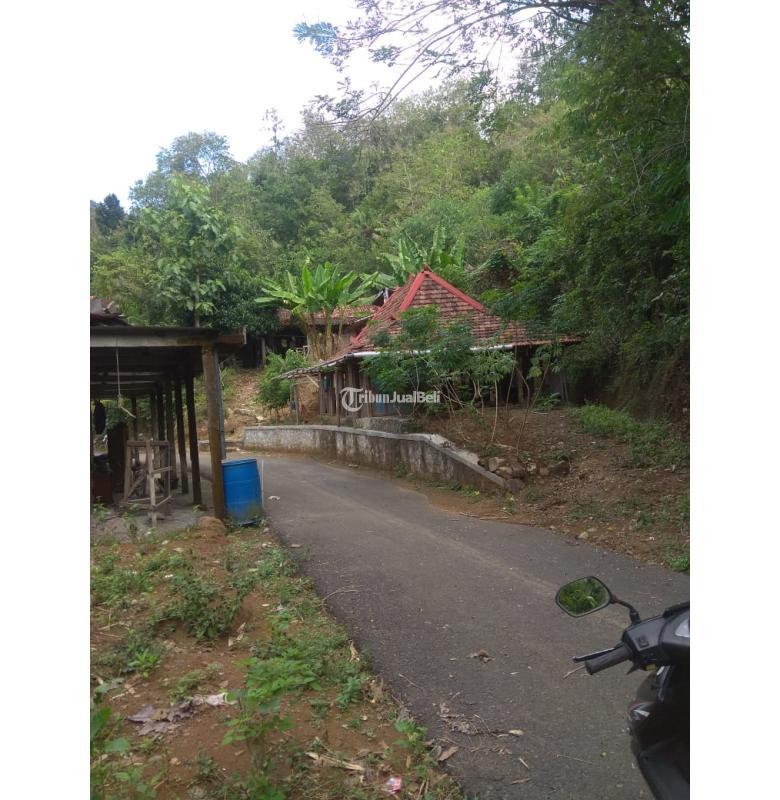 Tanah di Piyungan Bantul, Lingkungan Asri Pedesaan