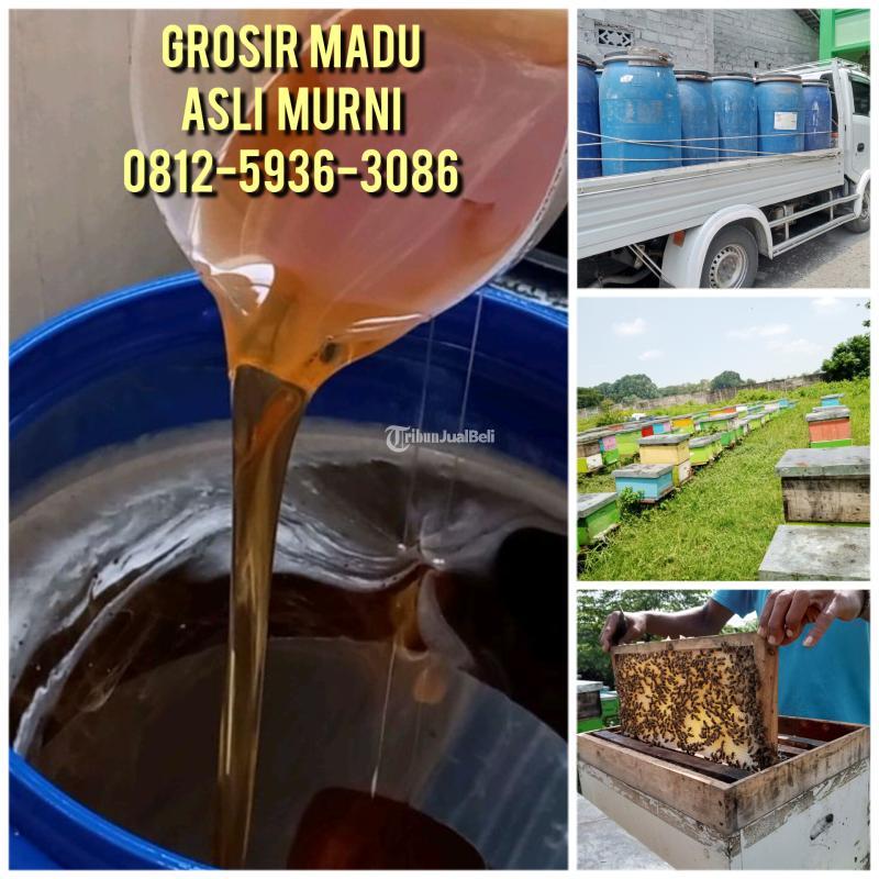 Supplier Madu Asli Terdekat di Tangerang Banten - Tribun JualBeli