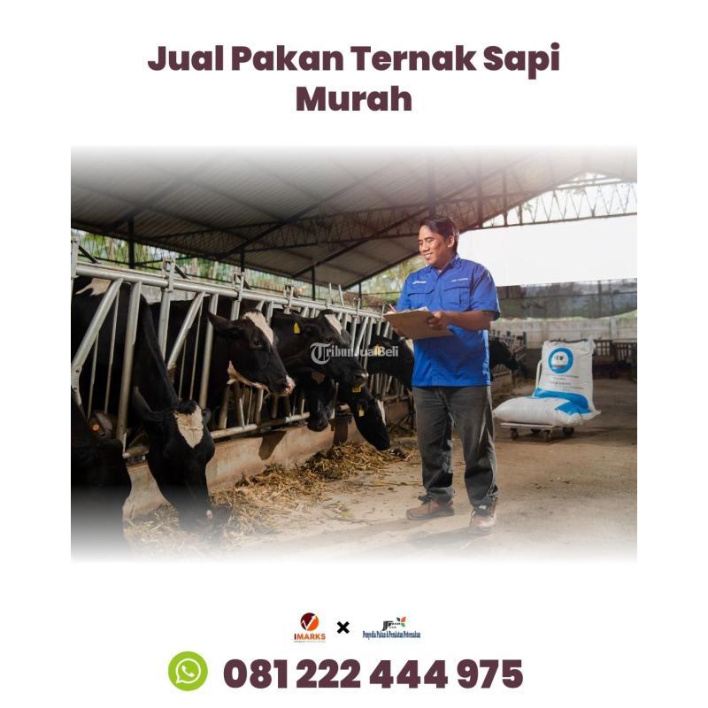 Hub 081 222 444 975 Pakan Ternak Jabfeed