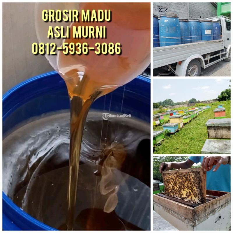 BISA COD, Supplier Madu Asli Terdekat Tegal 0812-5936-3086 Harga Madu Asli Murah Langsung Petani