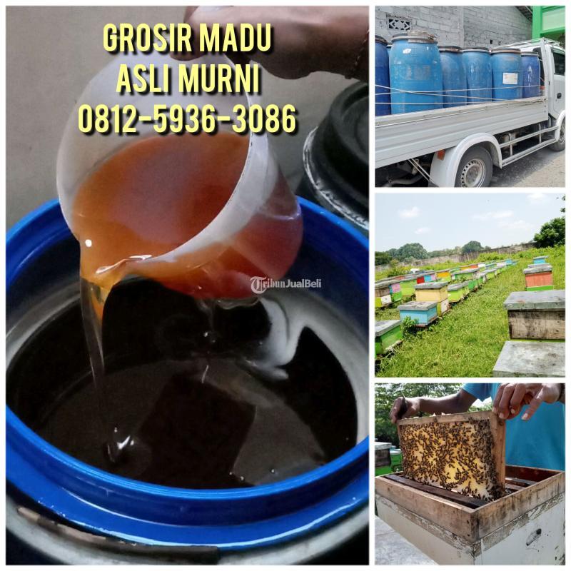 COD, Supplier Madu Asli Indonesia Terdekat Palembang 0812-5936-3086 Harga Madu Asli Petani