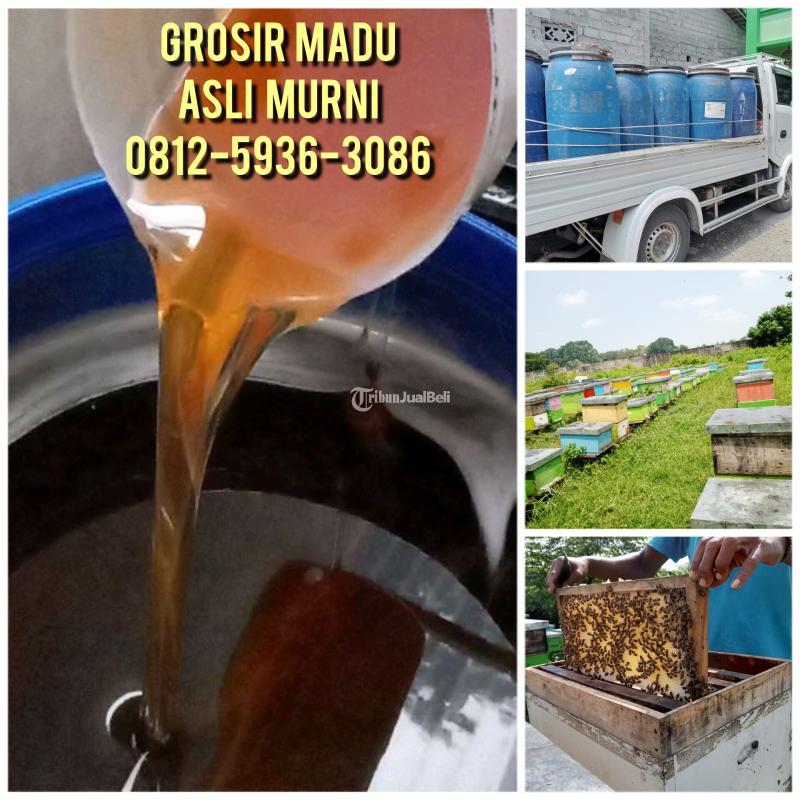 COD, Grosir Madu Asli Kalidoni Palembang 0812-5936-3086 Harga Madu Asli Indonesia Termurah