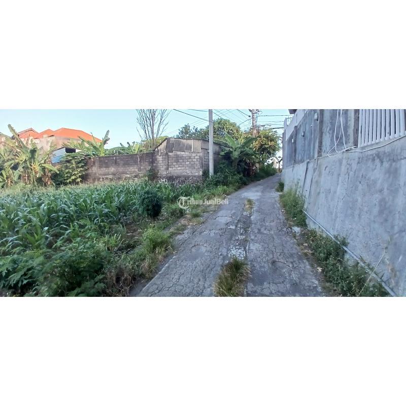 Tanah 3390 m2 jl Padang Galak Sanur Denpasar Bali
