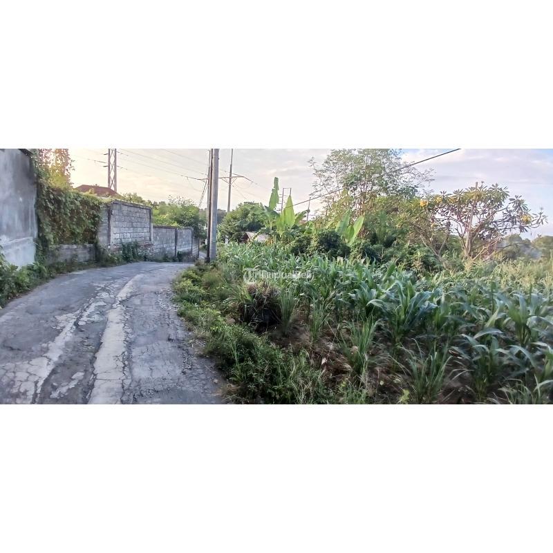 Tanah 3390 m2 jl Padang Galak Sanur Denpasar Bali