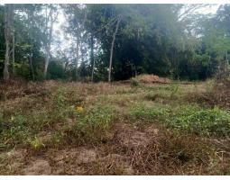 Jual Tanah Dalam Perumahan Luas 453m2 SHM Di Jalan Kaliurang Km 8 - Sleman Yogyakarta