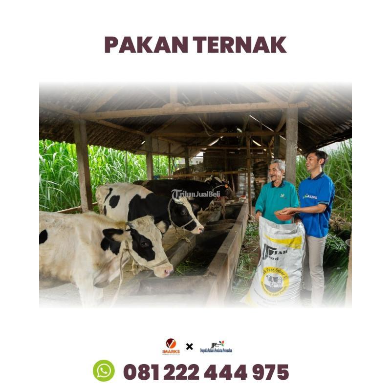 Hub. 081 222 444 975, Pabrik Pakan Ternak Hewan Ternak Jabfeed