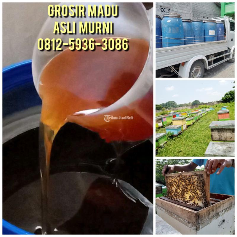 TERMURAH, Grosir Madu Asli Terdekat Jakarta 0812-5936-3086 Harga Madu Asli Langsung Petani