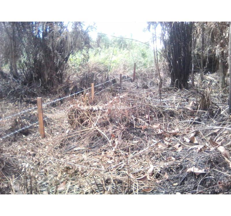 Jual Tanah 18.400 m2 di Tanjung Selor Dekat Kantor PEMDA Bulungan, Kantor Bupati Bulungan, RSUD dr. H. Soemarno Sosroatmodjo - Bulungan Kalimantan Utara