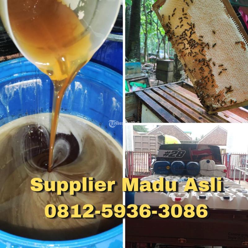 Promo Supplier Madu Asli Terdekat Langsung Petani - Jakarta Barat