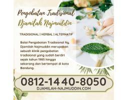  Pengobatan Diabetes Secara Herbal Ny. Djamilah Najmuddin - Bandung Jawa Barat 