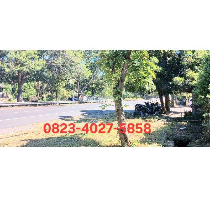 Jual Tanah Luas 1000 m2 jl Ida Bagus Mantra Saba Blahbatuh - Gianyar Bali