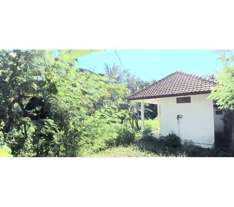 Jual Tanah Luas 1000 m2 jl Ida Bagus Mantra Saba Blahbatuh - Gianyar Bali