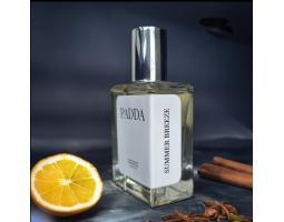 Parfum Pria PADDA Summer Breeze Extrait de Parfum 50ml Wangi Sporty - Jakarta Pusat