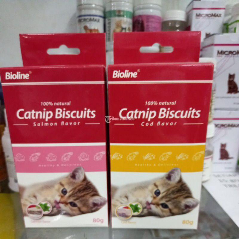 Catnip Biskuit 80gr Beberapa Pilihan Rasa - Makassar Sulawesi Selatan