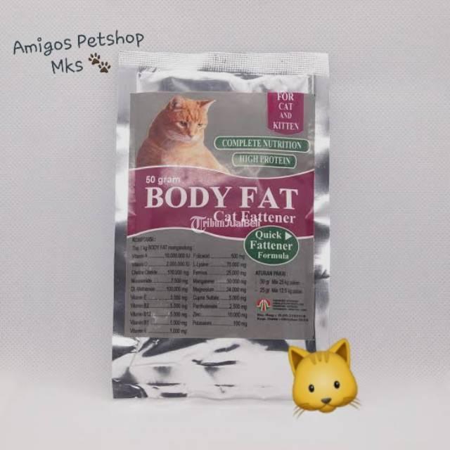 Body Fat Cat Fattener Multivitamin untuk Menggemukkan Kucing Amigos Petshop - Makassar Sulawesi Selatan