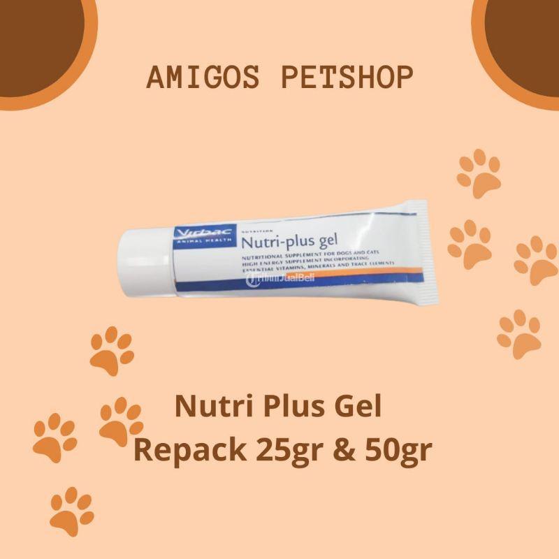 Multivitamin Nutri Plus Gel Kemasan Repack - Makassar Sulawesi Selatan