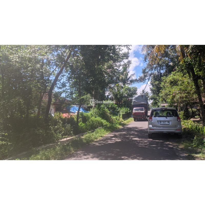 Jual Tanah Pekarangan Premium Luas 175m2 SHM Dekat Jl Raya Tajem - Sleman Yogyakarta